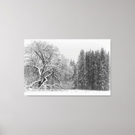 Winter Scene Canvas Afdruk