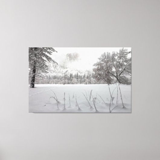 Winter Scene Canvas Afdruk (Voorkant)