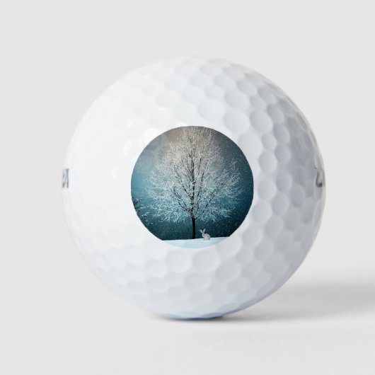Winter Scene Golfballen (Voorkant)