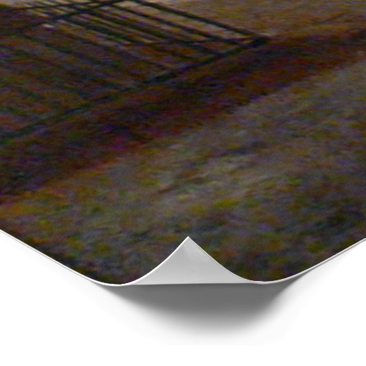 Winter Scene in Brooklyn - Francis Guy Poster (Hoek)