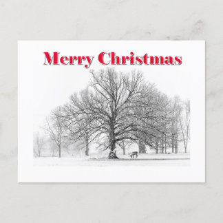 Winter Scene Kerst Kaart (Briefkaart)