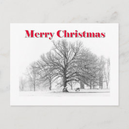 Winter Scene Kerst Kaart (Briefkaart)