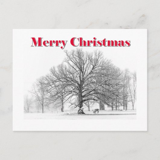 Winter Scene Kerst Kaart (Briefkaart) (Voorkant)