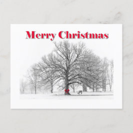 Winter Scene Kerst Kaart (Briefkaart)