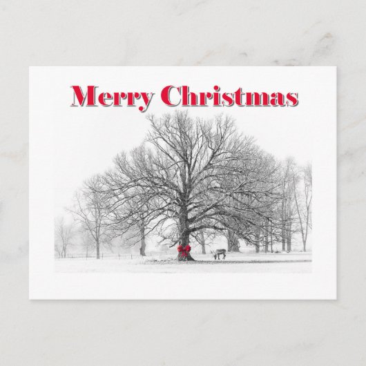 Winter Scene Kerst Kaart (Briefkaart) (Voorkant)