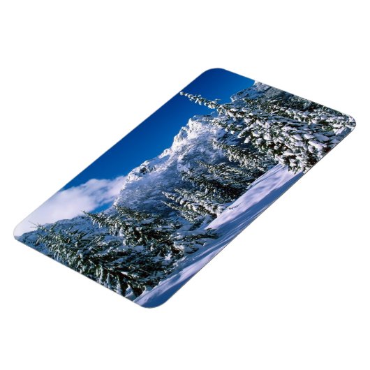 Winter Scene Magnet Magneet (Linkerzijde)