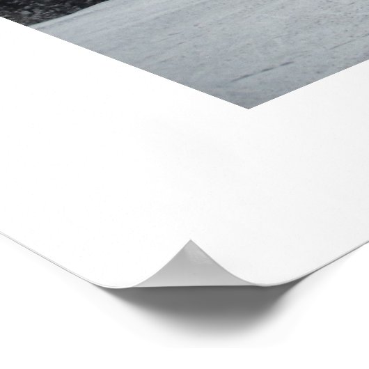 Winter Scene op Big White Poster (Hoek)