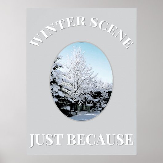 winter scene Poster (Voorkant)