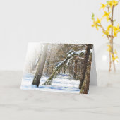 Winter Scene Sympathcard Kaart (Gele Bloem)