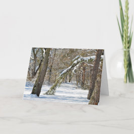 Winter Scene Sympathie Kaart
