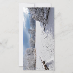 winter schilderachtig langs vijver en bossen van s