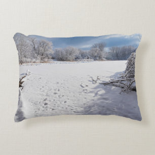 winter schilderachtig langs vijver en bossen van s accent kussen