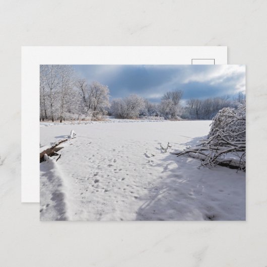 winter schilderachtig langs vijver en bossen van s briefkaart (Voorkant / Achterkant)