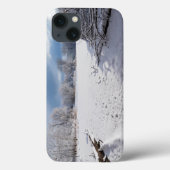 winter schilderachtig langs vijver en bossen van s Case-Mate iPhone case (Achterkant)