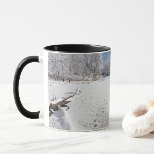 winter schilderachtig langs vijver en bossen van s mok