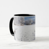 winter schilderachtig langs vijver en bossen van s mok (Voorkant links)