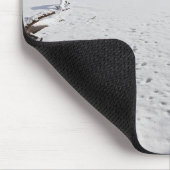 winter schilderachtig langs vijver en bossen van s muismat (Hoek)