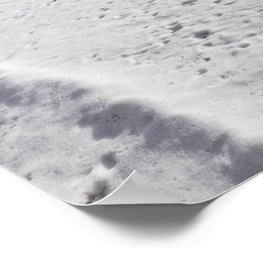 winter schilderachtig langs vijver en bossen van s poster (Hoek)