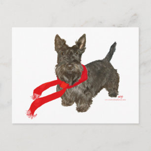 Winter Scottie in warme sjaal Briefkaart