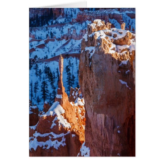 Winter Sentinel (Voorkant)