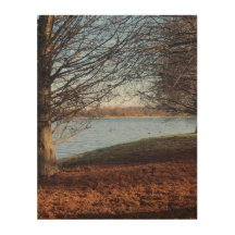Winter Serenity bij het meer