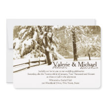 Winter Serenity Wedding