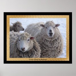 Winter Sheep Poster