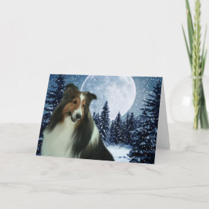 Winter Sheltie Kaart