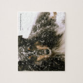 Winter Sheltie Legpuzzel (Verticaal)