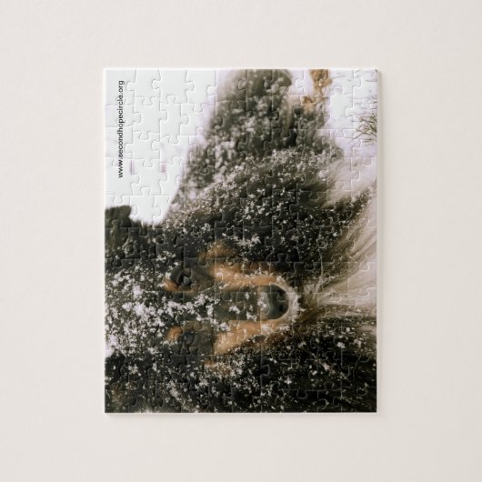 Winter Sheltie Legpuzzel (Verticaal)