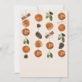 Winter Sinaasappel Slices Gedroogde Citrus kaneel  Kaart (Achterkant)