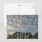 Winter Sky Briefkaart (Voorkant / Achterkant)