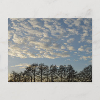 Winter Sky Briefkaart