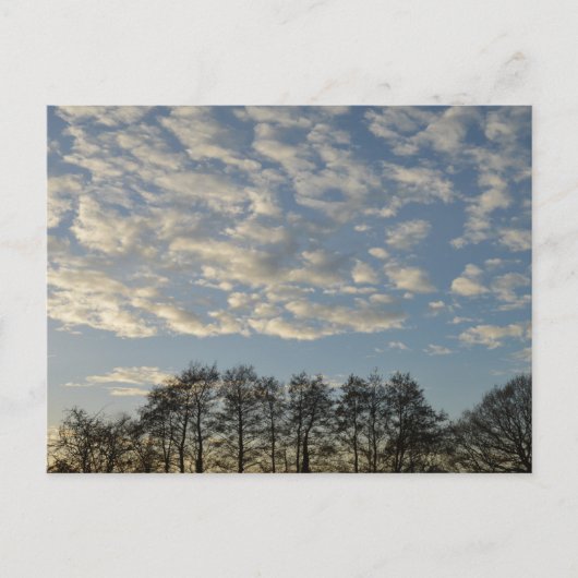 Winter Sky Briefkaart (Voorkant)