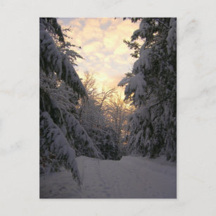 Winter Sky Briefkaart