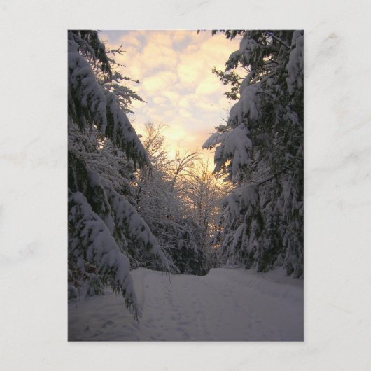 Winter Sky Briefkaart (Voorkant)