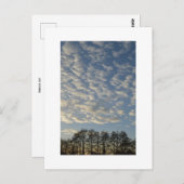 Winter Sky Briefkaart (Voorkant / Achterkant)