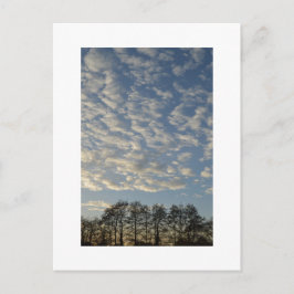 Winter Sky Briefkaart