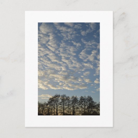 Winter Sky Briefkaart (Voorkant)
