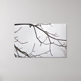 Winter Sky Canvas Kunstdruk