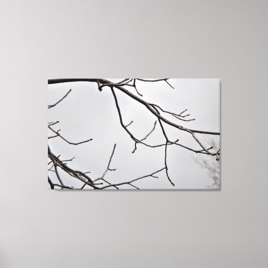 Winter Sky Canvas Kunstdruk (Voorkant)