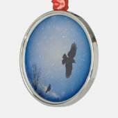 Winter Sky Metalen Ornament (Links)