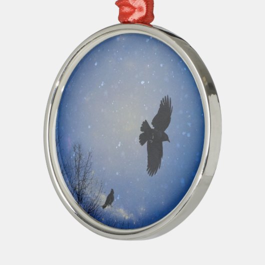 Winter Sky Metalen Ornament (Links)