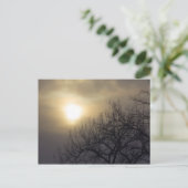 Winter Sky over een boom, Ohio Briefkaart (Staand voorkant)