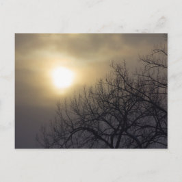 Winter Sky over een boom, Ohio Briefkaart