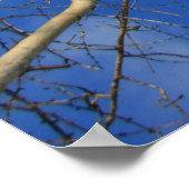 Winter sky poster (Hoek)