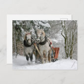 Winter Sleigh Ride Color Image Briefkaart (Voorkant / Achterkant)