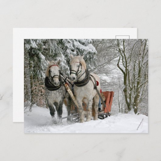 Winter Sleigh Ride Color Image Briefkaart (Voorkant / Achterkant)