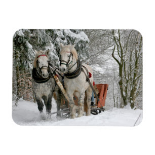 Winter Sleigh Ride Color Image Magneet