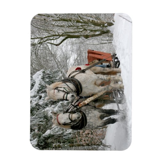 Winter Sleigh Ride Color Image Magneet (Verticaal)